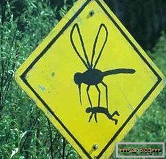 Strano segnale stradale della zanzara