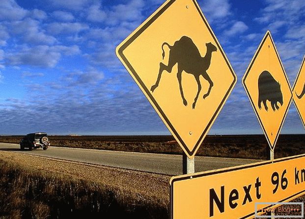Il cartello stradale australiano avverte che vari animali possono correre sulla strada.